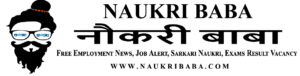 Naukri Baba Logo