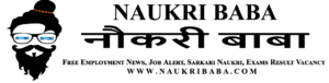 Naukribaba logo