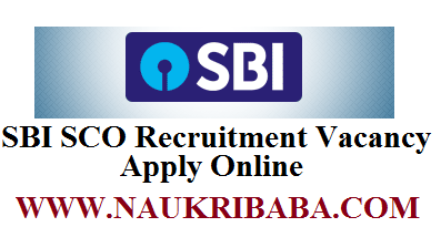 SBI SCO recruiment vacancy apply online
