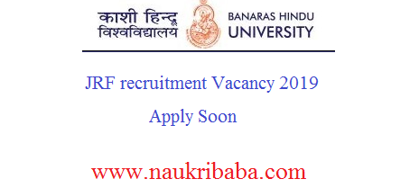 bhu jrf vacancy 2019 apply soon