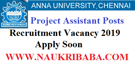 ANNA project ASSISTANT recruitment vacancy 2019 APPLY SOON