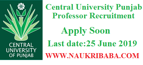 CENTRAL UNIVERSITY PUNJAB PROFESSOR recruitment vacancy 2019