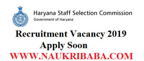 HSSC recruitment vacancy 2019 apply soon