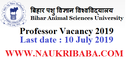 bihar animal sciences university professor recruitment-vacancy-2019-apply-soon
