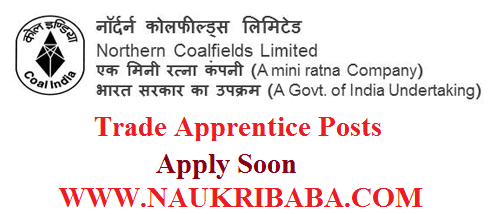 ncl trade apprentice POSTS recruitment vacancy 2019 APPLY SOON