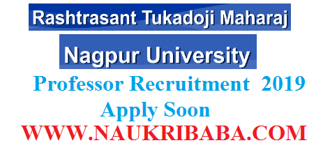 nagpur university assistant professor apply soon