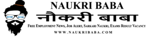 Naukri-Baba-Logo-top
